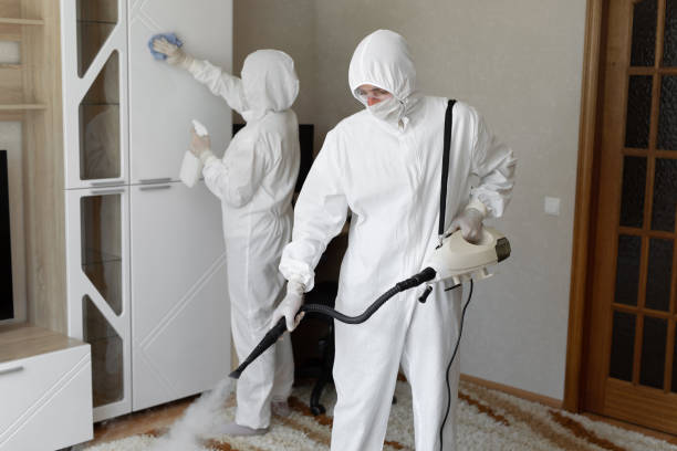 24/7 Emergency Odor Removal experts in Center Hill, FL