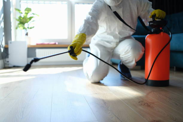 Reliable Odor Removal contractor in Center Hill, FL by Trauma Clean Pros